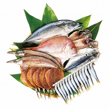 ] cX CV a(Ȃ) (NT-30)y͂ԁF12{`z